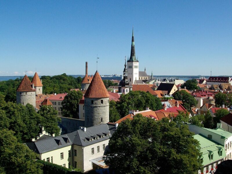 Estonian Company Lookup: How to Find Any Company’s Details for Free